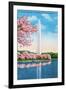 Washington DC, View of the Washington Monument through Blossoming Cherry Trees-Lantern Press-Framed Art Print