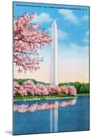 Washington DC, View of the Washington Monument through Blossoming Cherry Trees-Lantern Press-Mounted Art Print