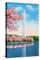 Washington DC, View of the Washington Monument through Blossoming Cherry Trees-Lantern Press-Stretched Canvas