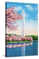 Washington DC, View of the Washington Monument through Blossoming Cherry Trees-Lantern Press-Stretched Canvas