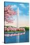 Washington DC, View of the Washington Monument through Blossoming Cherry Trees-Lantern Press-Stretched Canvas