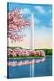 Washington DC, View of the Washington Monument through Blossoming Cherry Trees-Lantern Press-Stretched Canvas