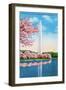 Washington DC, View of the Washington Monument through Blossoming Cherry Trees-Lantern Press-Framed Art Print