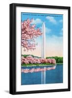 Washington DC, View of the Washington Monument through Blossoming Cherry Trees-Lantern Press-Framed Art Print