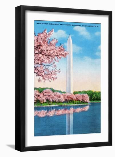 Washington DC, View of the Washington Monument through Blossoming Cherry Trees-Lantern Press-Framed Art Print