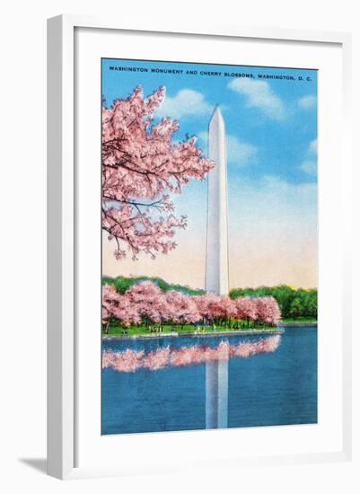 Washington DC, View of the Washington Monument through Blossoming Cherry Trees-Lantern Press-Framed Art Print