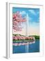 Washington DC, View of the Washington Monument through Blossoming Cherry Trees-Lantern Press-Framed Art Print