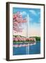 Washington DC, View of the Washington Monument through Blossoming Cherry Trees-Lantern Press-Framed Art Print