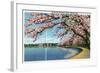 Washington DC, View of the Washington Monument with Blossoming Cherry Trees-Lantern Press-Framed Art Print