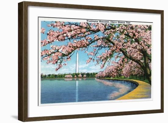 Washington DC, View of the Washington Monument with Blossoming Cherry Trees-Lantern Press-Framed Art Print