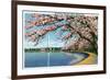 Washington DC, View of the Washington Monument with Blossoming Cherry Trees-Lantern Press-Framed Premium Giclee Print