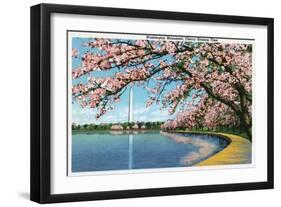 Washington DC, View of the Washington Monument with Blossoming Cherry Trees-Lantern Press-Framed Art Print