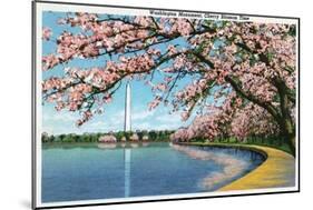 Washington DC, View of the Washington Monument with Blossoming Cherry Trees-Lantern Press-Mounted Art Print