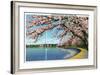 Washington DC, View of the Washington Monument with Blossoming Cherry Trees-Lantern Press-Framed Art Print