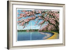 Washington DC, View of the Washington Monument with Blossoming Cherry Trees-Lantern Press-Framed Art Print