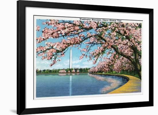 Washington DC, View of the Washington Monument with Blossoming Cherry Trees-Lantern Press-Framed Art Print