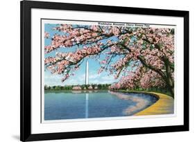 Washington DC, View of the Washington Monument with Blossoming Cherry Trees-Lantern Press-Framed Art Print