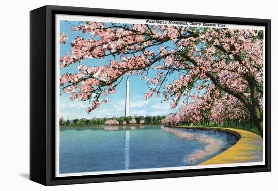 Washington DC, View of the Washington Monument with Blossoming Cherry Trees-Lantern Press-Framed Stretched Canvas