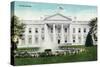 Washington DC, View of the White House-Lantern Press-Stretched Canvas