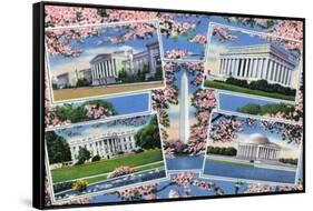 Washington, DC, Views Memorials, Monuments, White House and Blossoming Cherry Trees-Lantern Press-Framed Stretched Canvas