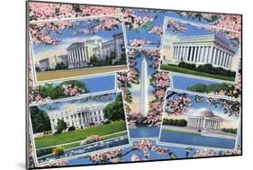 Washington, DC, Views Memorials, Monuments, White House and Blossoming Cherry Trees-Lantern Press-Mounted Art Print