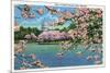 Washington DC, Vista of the Capitol through the Cherry Blossoms-Lantern Press-Mounted Art Print