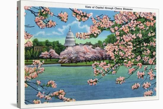 Washington DC, Vista of the Capitol through the Cherry Blossoms-Lantern Press-Stretched Canvas