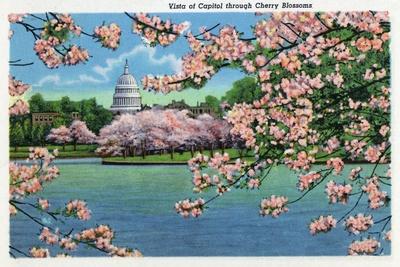 https://imgc.allpostersimages.com/img/posters/washington-dc-vista-of-the-capitol-through-the-cherry-blossoms_u-L-Q1K0GH30.jpg?artPerspective=n