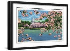 Washington DC, Vista of the Capitol through the Cherry Blossoms-Lantern Press-Framed Art Print