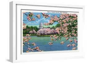 Washington DC, Vista of the Capitol through the Cherry Blossoms-Lantern Press-Framed Art Print