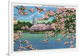 Washington DC, Vista of the Capitol through the Cherry Blossoms-Lantern Press-Framed Art Print