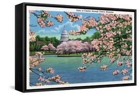 Washington DC, Vista of the Capitol through the Cherry Blossoms-Lantern Press-Framed Stretched Canvas