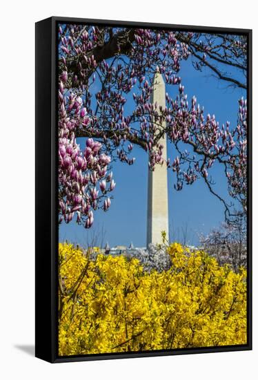 Washington DC. Washington Monument in springtime-Jolly Sienda-Framed Stretched Canvas