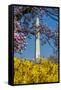 Washington DC. Washington Monument in springtime-Jolly Sienda-Framed Stretched Canvas