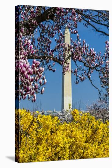 Washington DC. Washington Monument in springtime-Jolly Sienda-Stretched Canvas