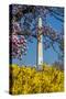 Washington DC. Washington Monument in springtime-Jolly Sienda-Stretched Canvas