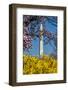 Washington DC. Washington Monument in springtime-Jolly Sienda-Framed Photographic Print