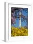 Washington DC. Washington Monument in springtime-Jolly Sienda-Framed Photographic Print