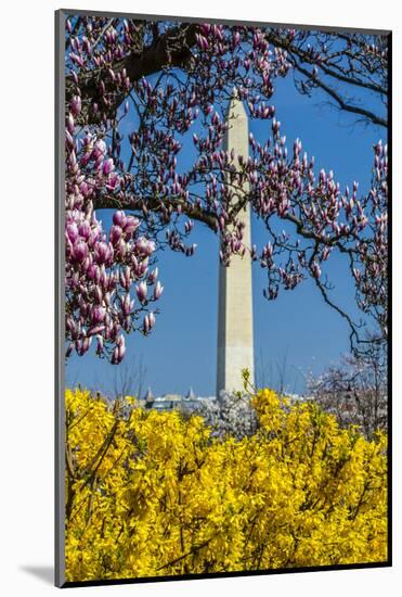 Washington DC. Washington Monument in springtime-Jolly Sienda-Mounted Photographic Print