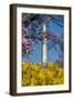 Washington DC. Washington Monument in springtime-Jolly Sienda-Framed Photographic Print