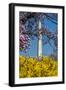 Washington DC. Washington Monument in springtime-Jolly Sienda-Framed Photographic Print