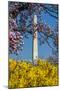 Washington DC. Washington Monument in springtime-Jolly Sienda-Mounted Photographic Print