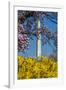 Washington DC. Washington Monument in springtime-Jolly Sienda-Framed Photographic Print