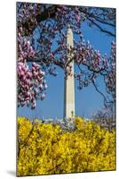 Washington DC. Washington Monument in springtime-Jolly Sienda-Mounted Photographic Print