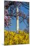 Washington DC. Washington Monument in springtime-Jolly Sienda-Mounted Photographic Print