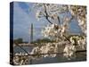 Washington, Dc-Karine Aigner-Stretched Canvas