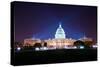 Washington Dc-Songquan Deng-Stretched Canvas