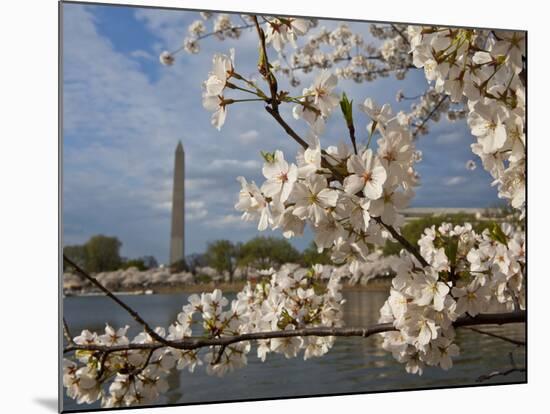 Washington, Dc-Karine Aigner-Mounted Photographic Print