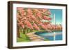 Washington Dc-Alan Paul-Framed Art Print