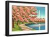 Washington Dc-Alan Paul-Framed Art Print